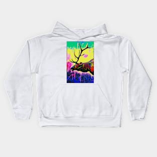 Colorado summer Kids Hoodie